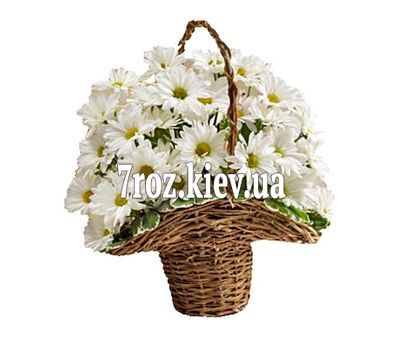Кошик з 7 ромашкових хризантем