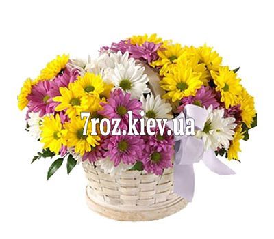Кошик з 11 хризантем
