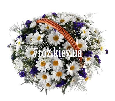 Кошик з 13 хризантем