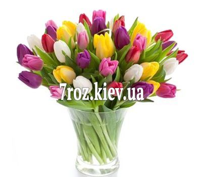 Букет із 55 тюльпанів