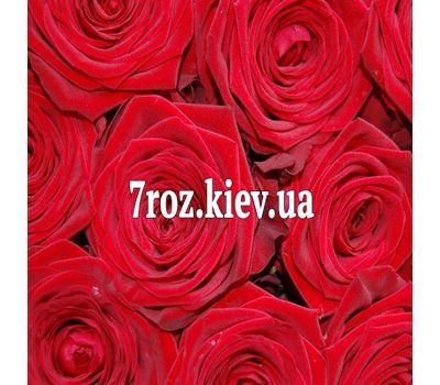 Червоні троянди поштучно