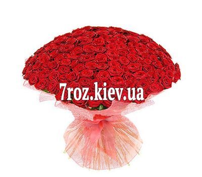 Букет із 151 червоної троянди