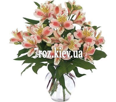 Букет із 9 рожевих альстромерій