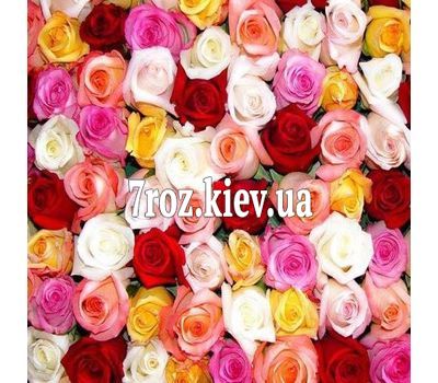 Різнокольорові троянди поштучно