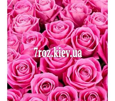 Рожеві троянди поштучно