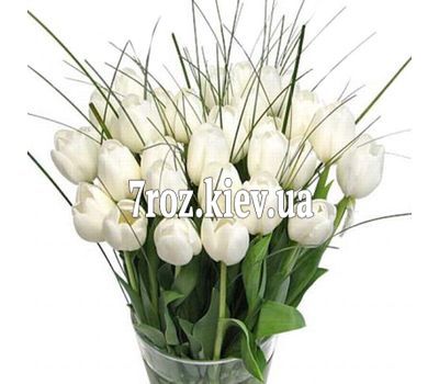 Букет із 35 білих тюльпанів