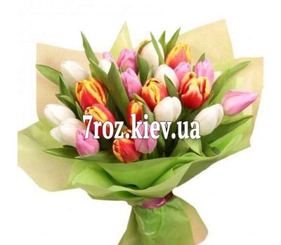Букет із 27 різнокольорових тюльпанів