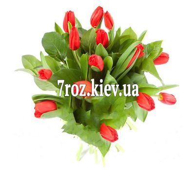 Букет із 15 червоних тюльпанів