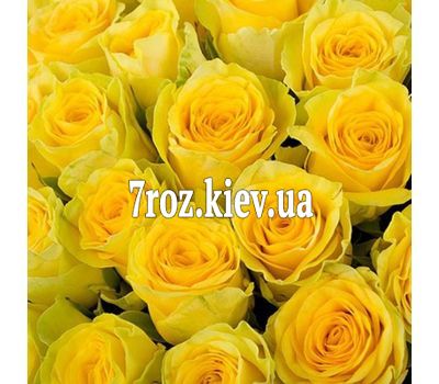 Жовті троянди поштучно
